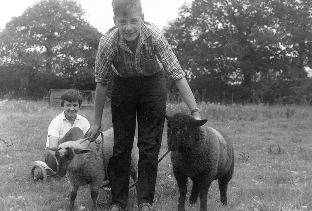 Whipley Manor Farm 1960s
