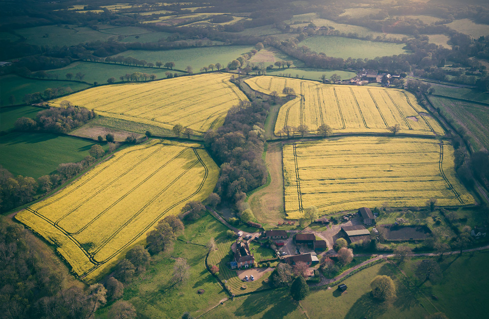 Whipley Manor Farm 2000s